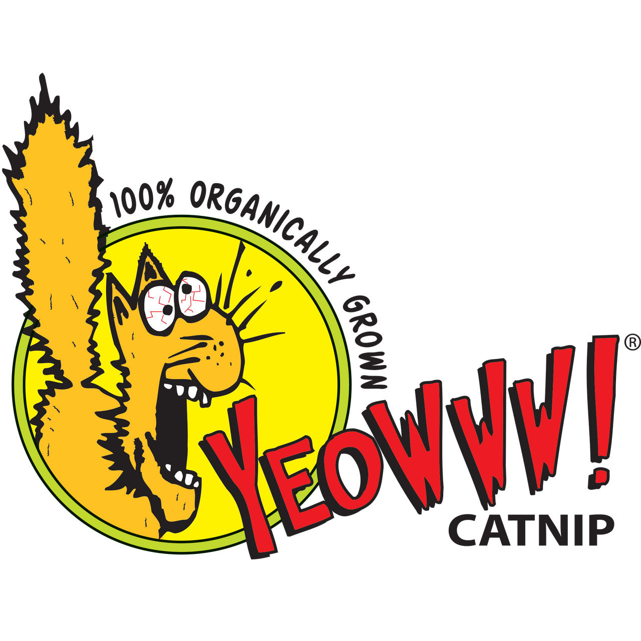 Yeowww! Catnip