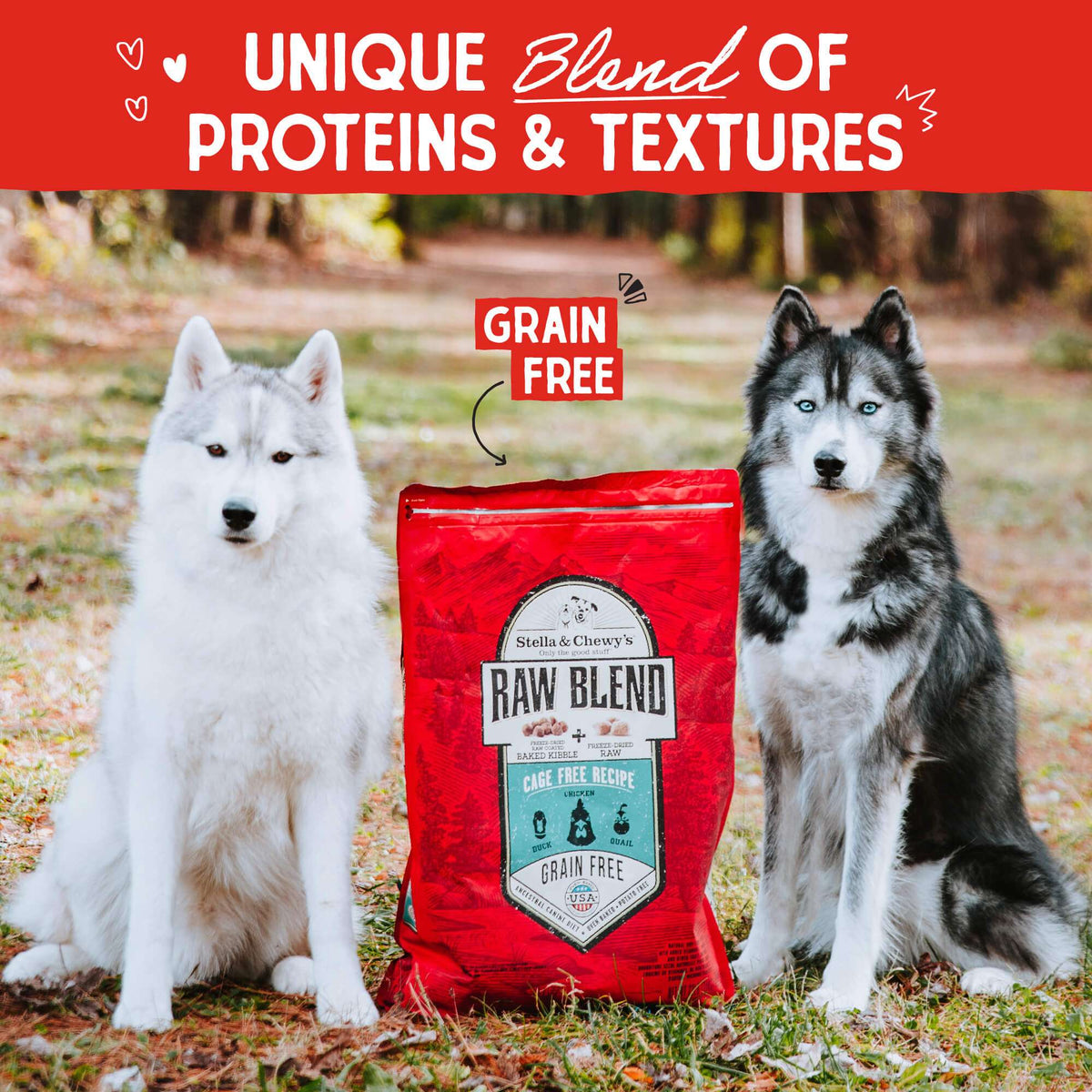 Stella &amp; Chewy&#39;s Raw Blend Grain Free Cage-Free Recipe Dog Food