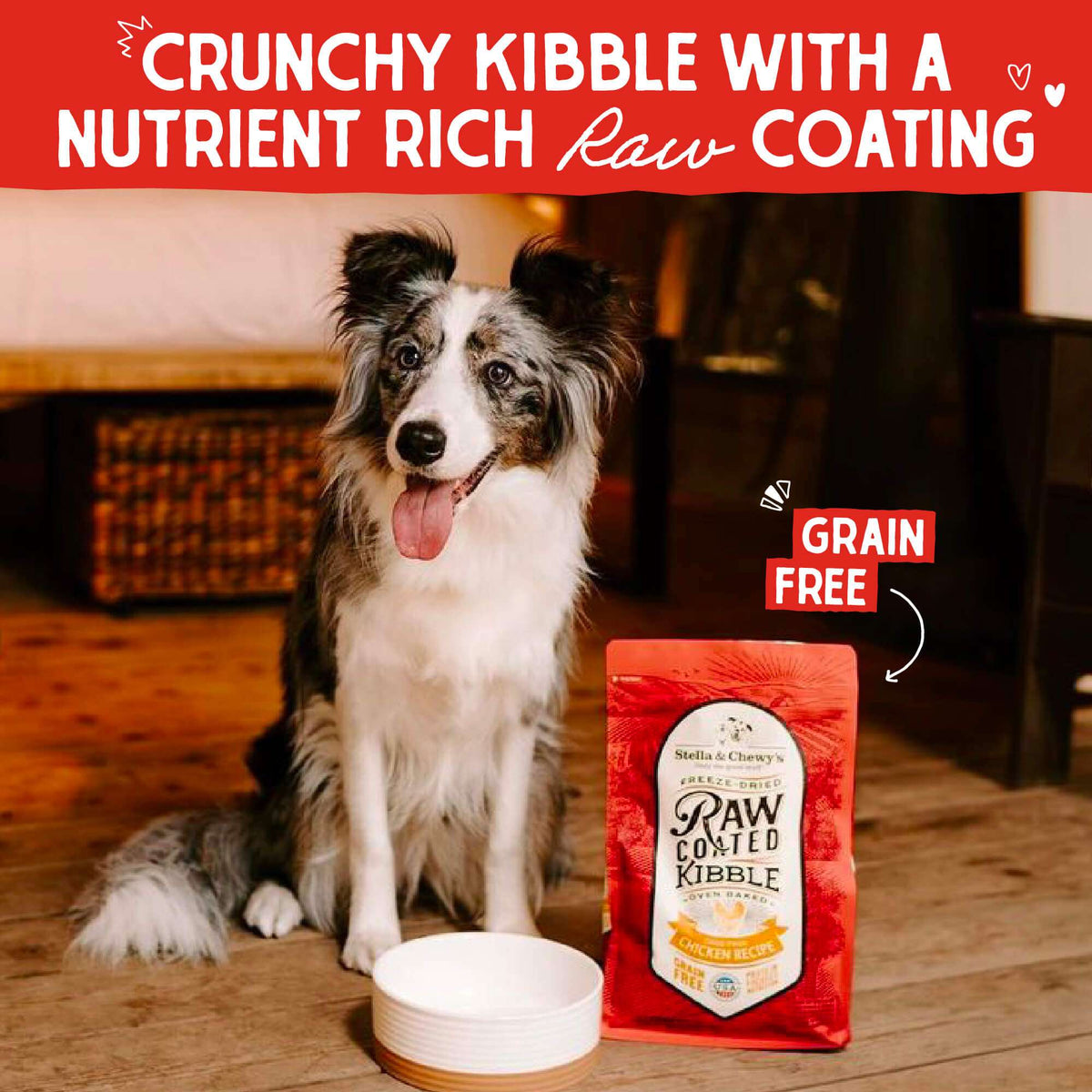 Stella &amp; Chewy&#39;s Raw Coated Grain Free Chicken Recipe Dog Food