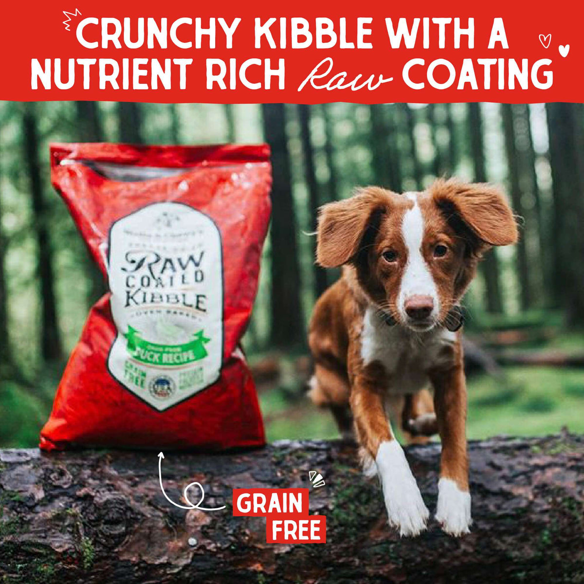 Stella &amp; Chewy&#39;s Freeze-Dried Raw Coated Kibble Duck Dog Food