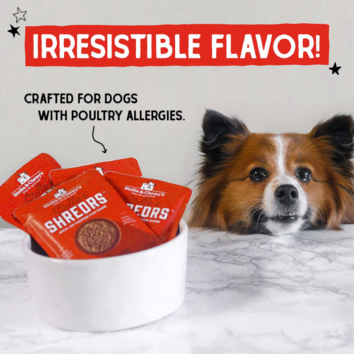 Stella &amp; Chewy&#39;s Stella&#39;s Shredrs Beef &amp; Lamb Pouch Dog Food