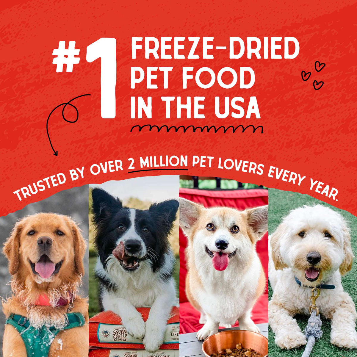 Stella &amp; Chewy&#39;s Raw Coated Grain Free Chicken Recipe Dog Food