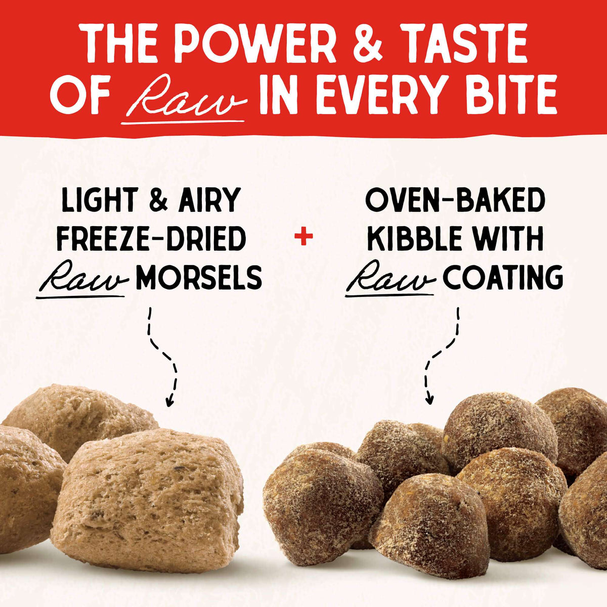 Stella &amp; Chewy&#39;s Raw Blend Grain Free Cage-Free Recipe Dog Food