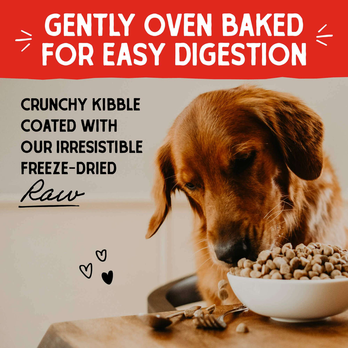 Stella &amp; Chewy&#39;s Raw Coated Grain Free Chicken Recipe Dog Food