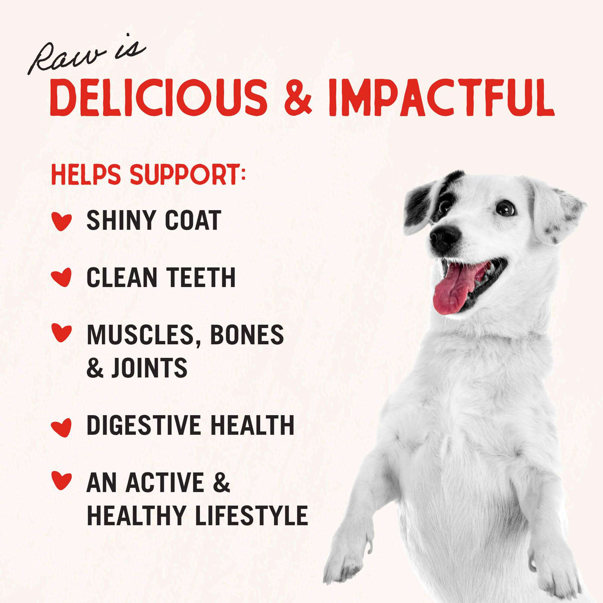 Stella &amp; Chewy&#39;s Raw Coated Grain Free Chicken Recipe Dog Food