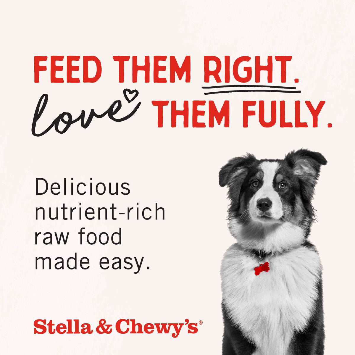 Stella &amp; Chewy&#39;s Raw Blend Grain Free Cage-Free Recipe Dog Food