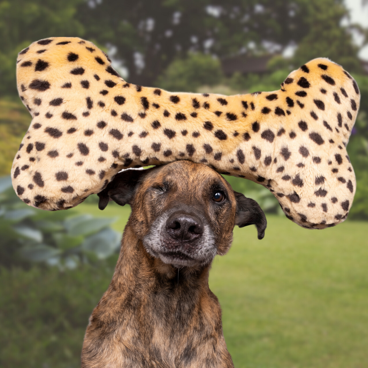 Fluff &amp; Tuff Cheetah Bone Dog Toy