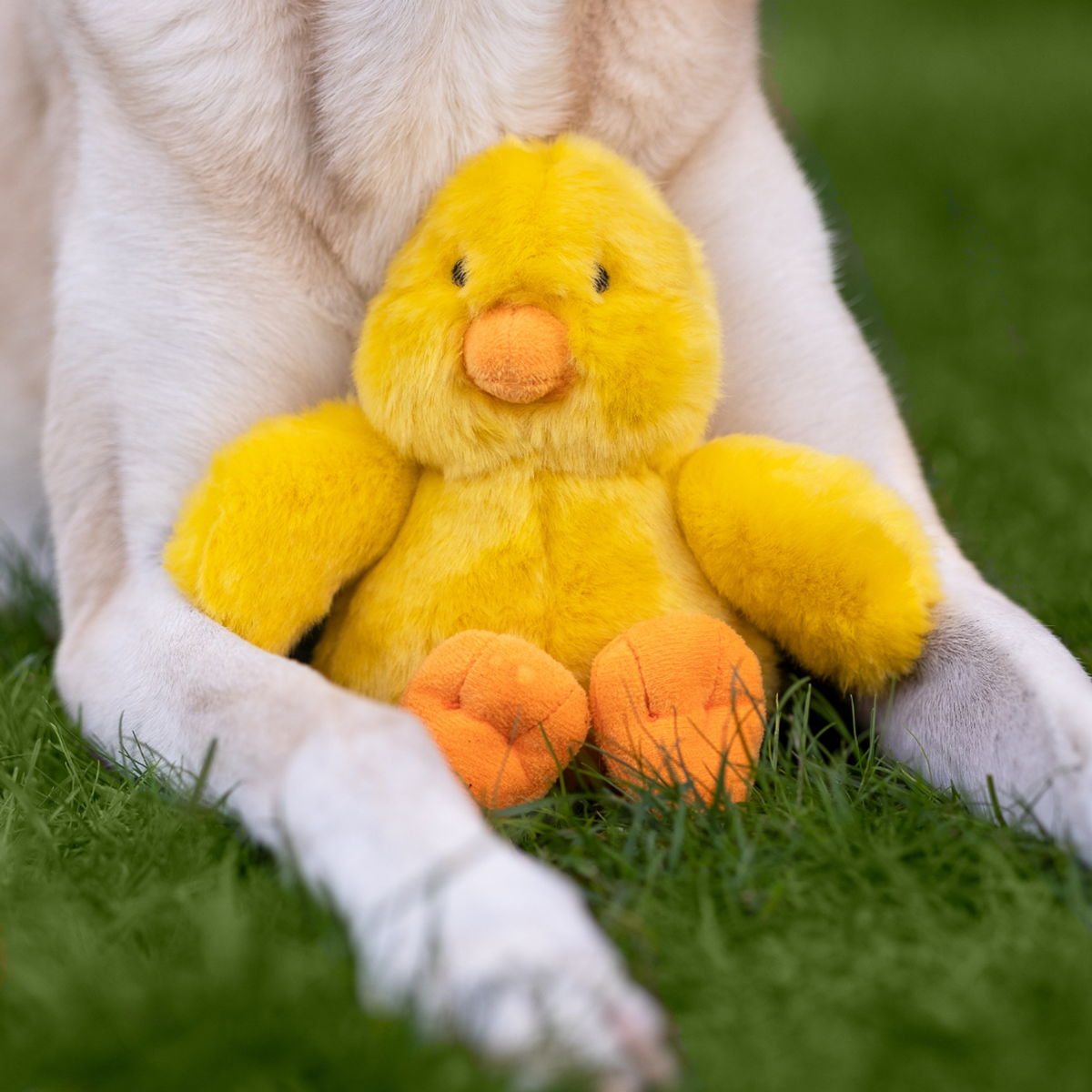 Fluff &amp; Tuff Howie Duck Dog Toy