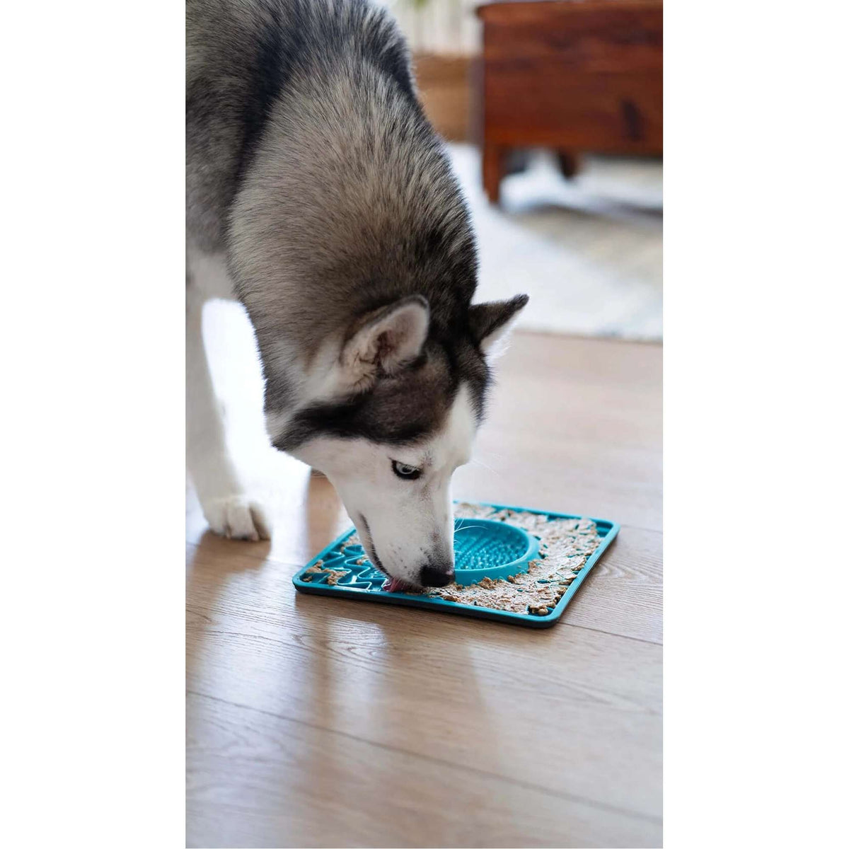 Messy Mutts Framed (Spill Resistant) Silicone Lick Mat with Bowl Center for Dogs and Cats