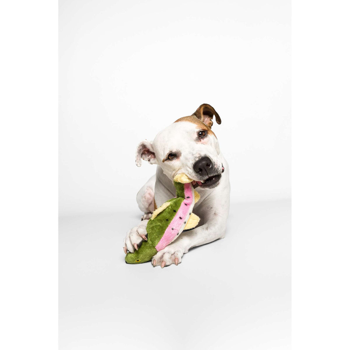 Fluff &amp; Tuff Burt the Lake Trout Dog Toy