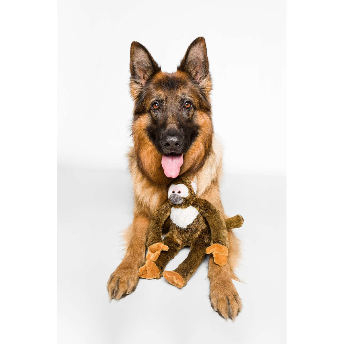 Fluff &amp; Tuff Albert Monkey Dog Toy