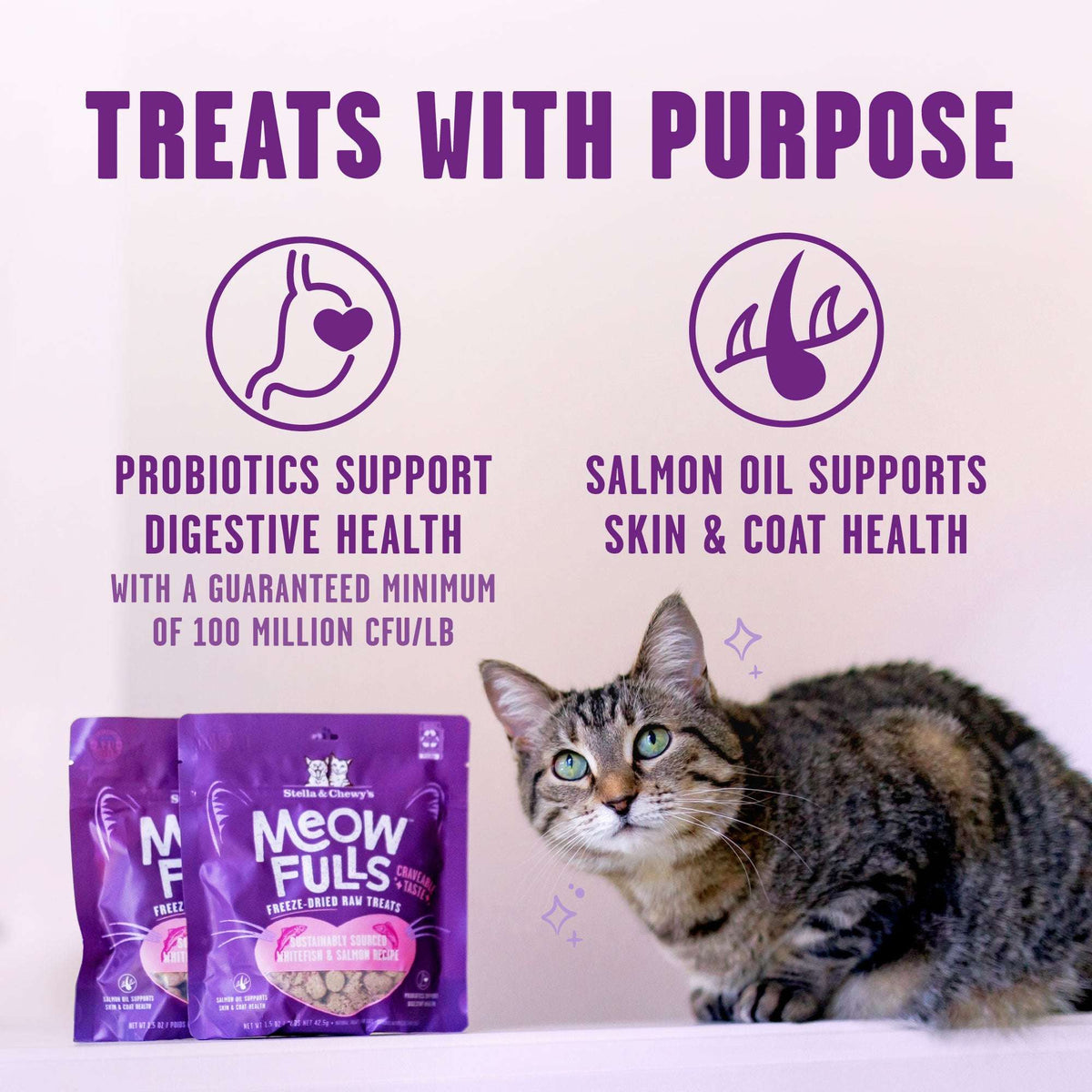 Stella &amp; Chewy&#39;s Freeze-Dried Raw Meowfulls Whitefish &amp; Salmon Cat Treats