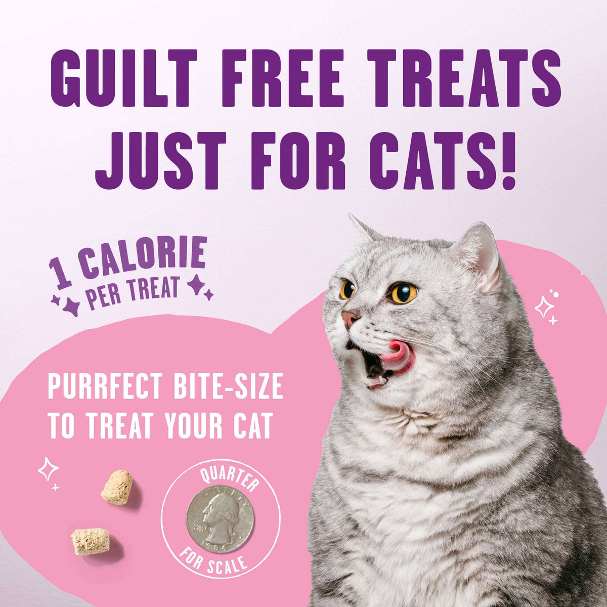 Stella &amp; Chewy&#39;s Freeze-Dried Raw Meowfulls Whitefish &amp; Salmon Cat Treats