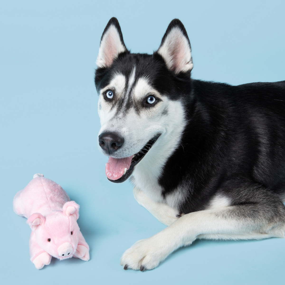 Fluff &amp; Tuff Petey Pig Dog Toy