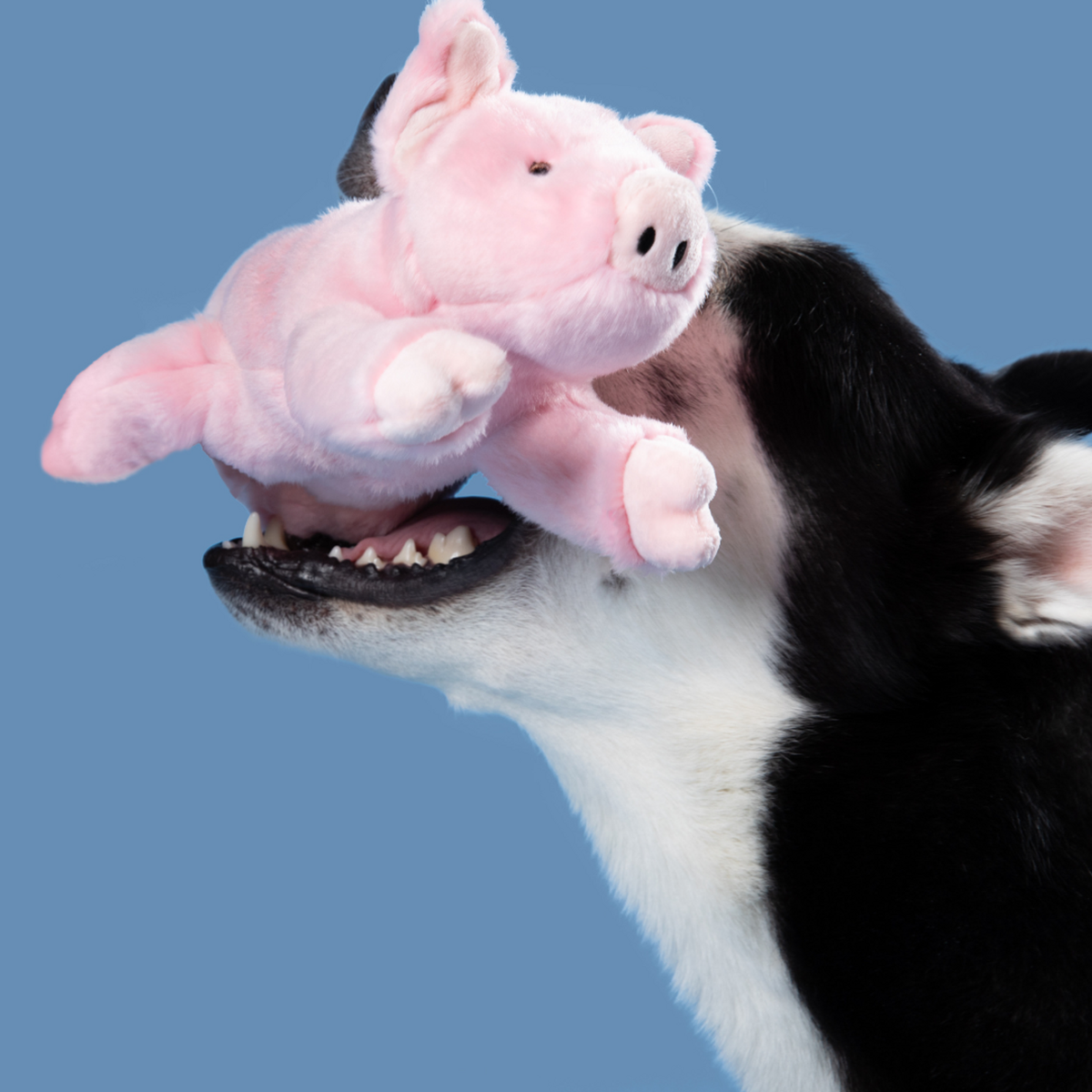 Fluff &amp; Tuff Petey Pig Dog Toy
