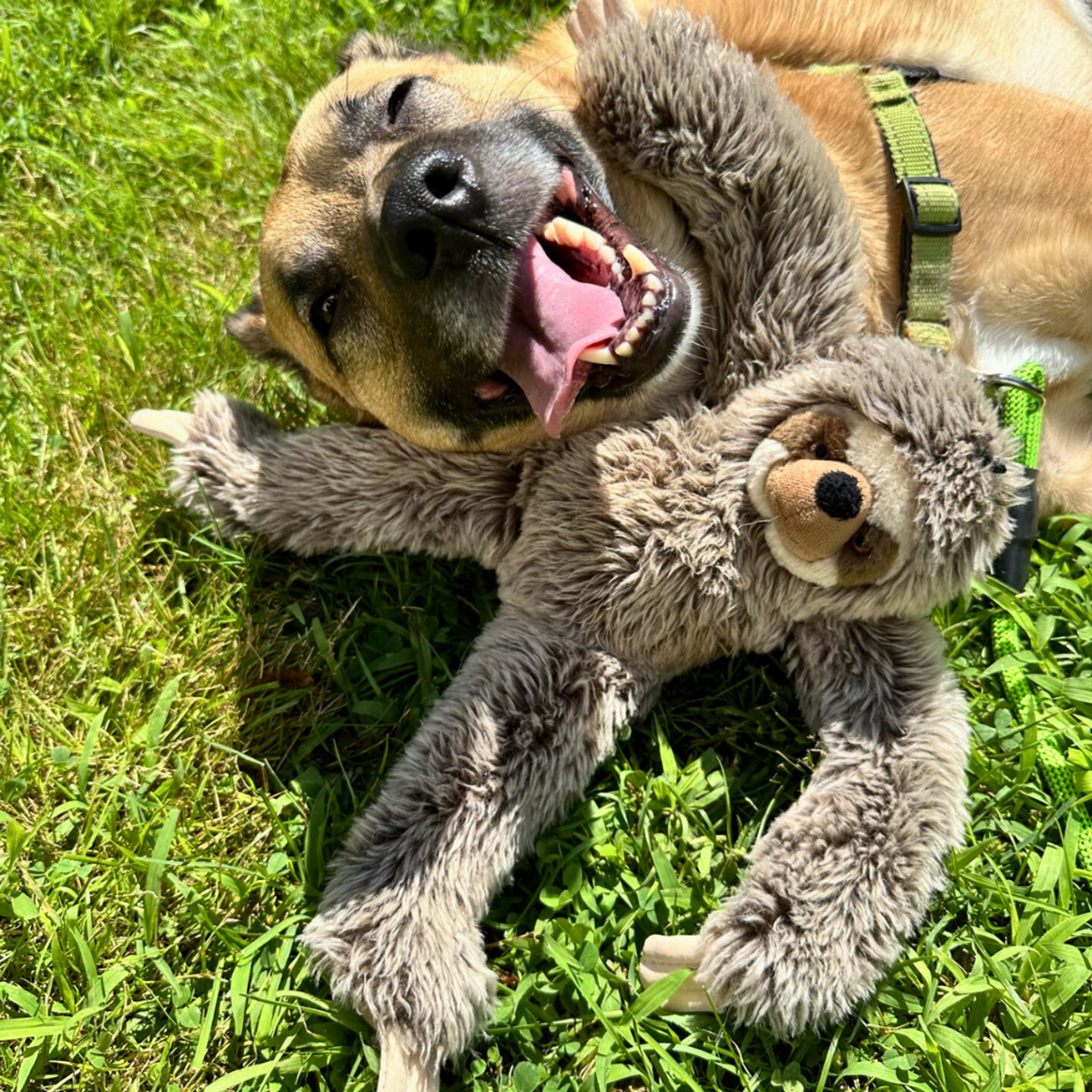 Fluff &amp; Tuff Tico Sloth Dog Toy