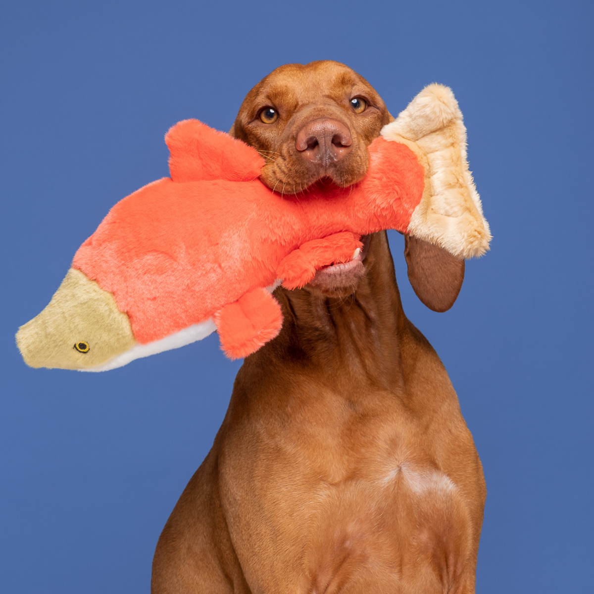 Fluff &amp; Tuff Cedar Salmon Dog Toy