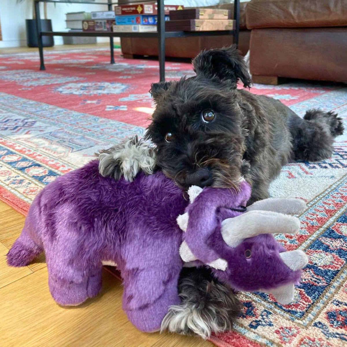 Fluff &amp; Tuff Charlie Triceratops Dog Toy