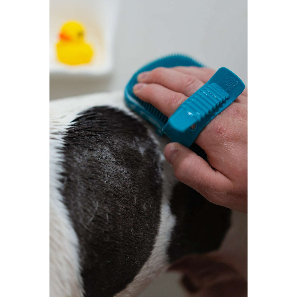 Messy Mutts Dual Sided Grooming Brush for Dogs