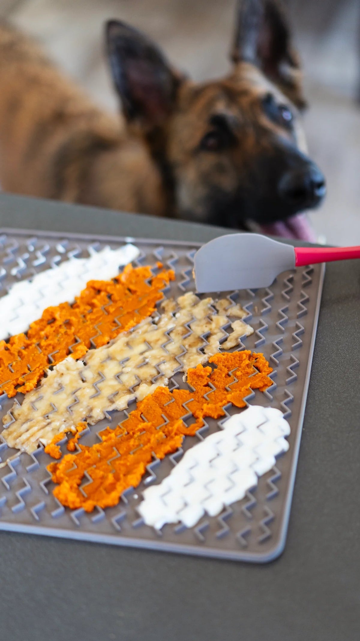 Messy Mutts Silicone Dog Licking Mat