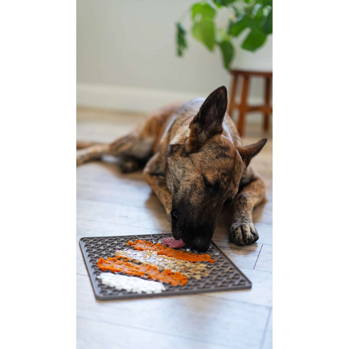 Messy Mutts Silicone Dog Licking Mat
