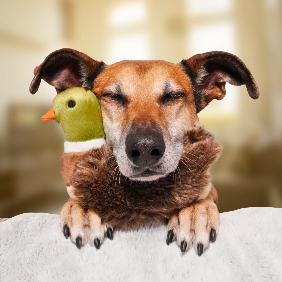 Fluff &amp; Tuff Morley Mallard Dog Toy