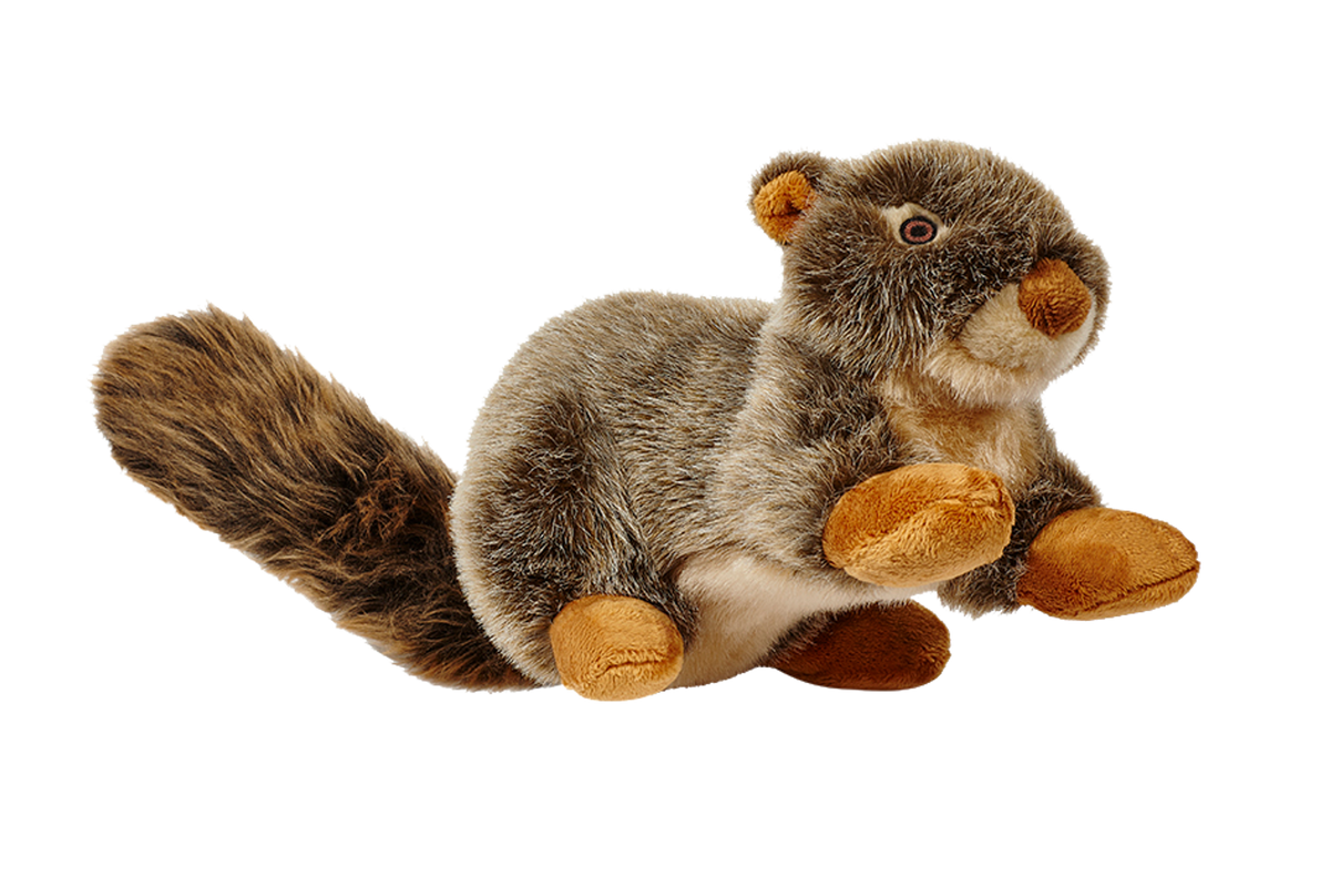 Fluff &amp; Tuff Nuts Squirrel Dog Toy