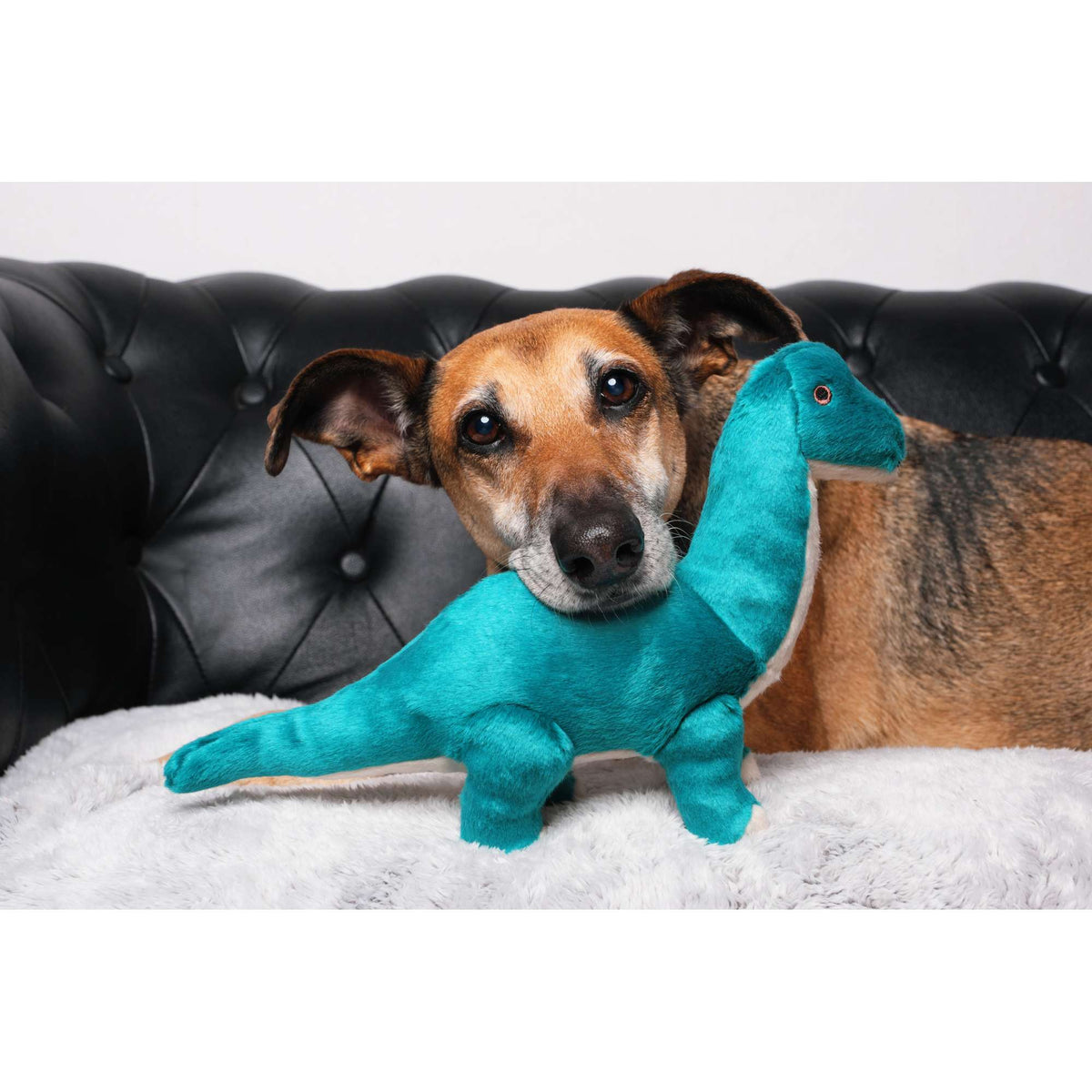 Fluff &amp; Tuff Ross Brachiosaurus Dog Toy