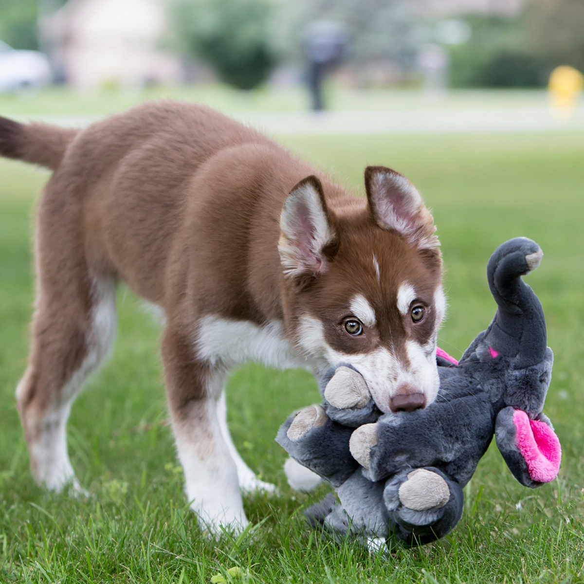 Fluff &amp; Tuff Edsel Elephant Dog Toy