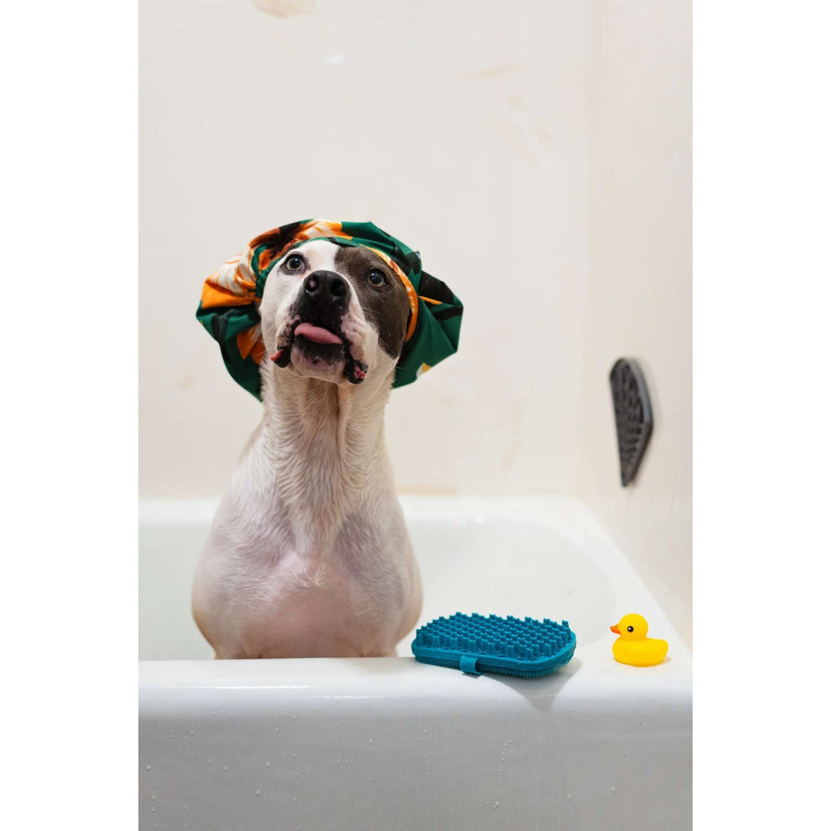 Messy Mutts Dual Sided Grooming Brush for Dogs