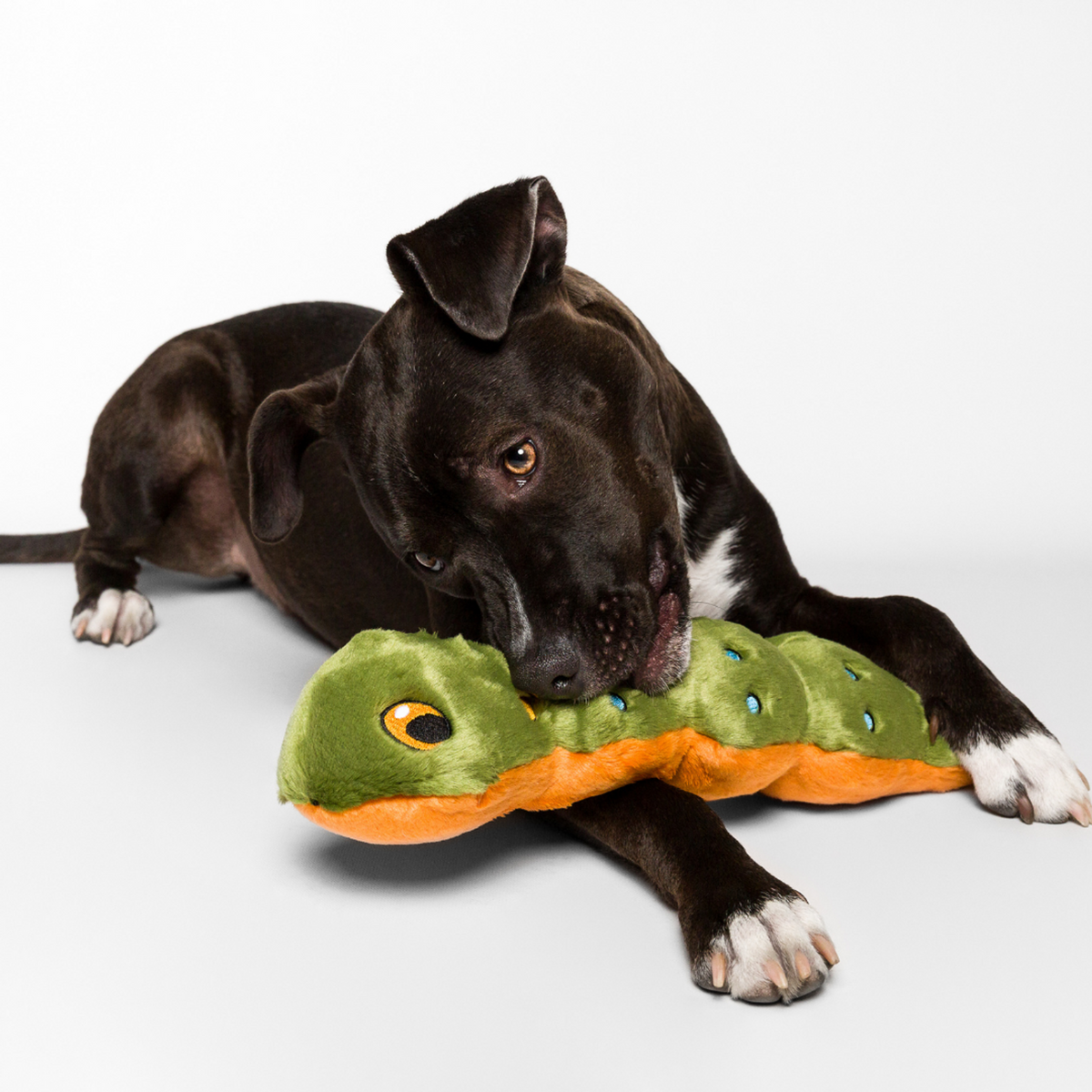 Fluff &amp; Tuff Katie Caterpillar Dog Toy