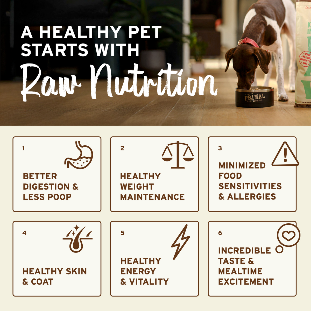 Primal Dehydrated Goat Milk for Dogs &amp; Cats