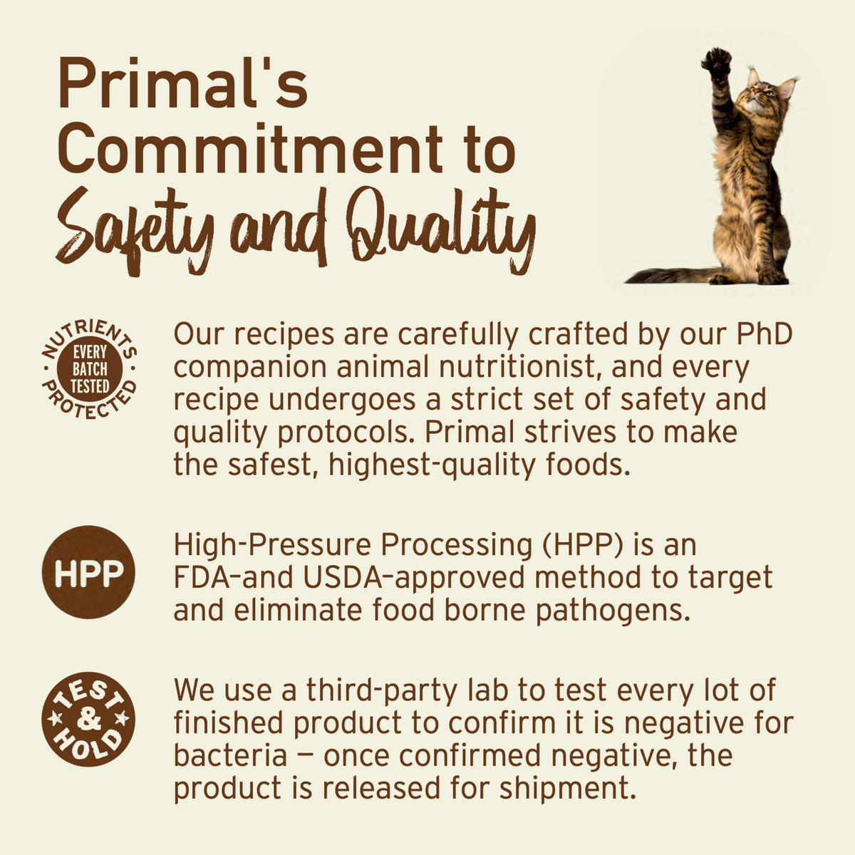 Primal Frozen Pronto Pork Raw Cat Food