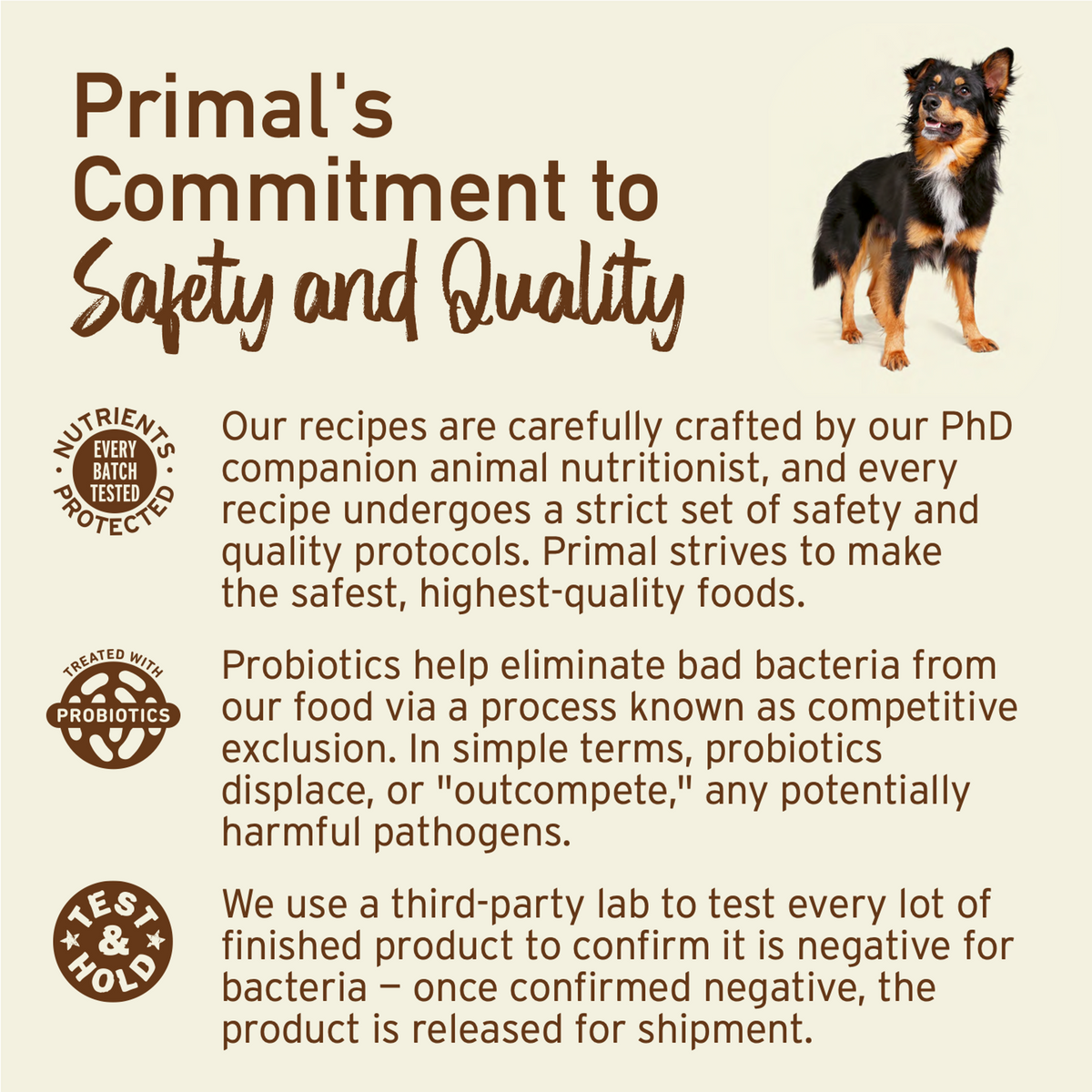Primal Freeze-Dried Raw Nuggets Duck Dog Food