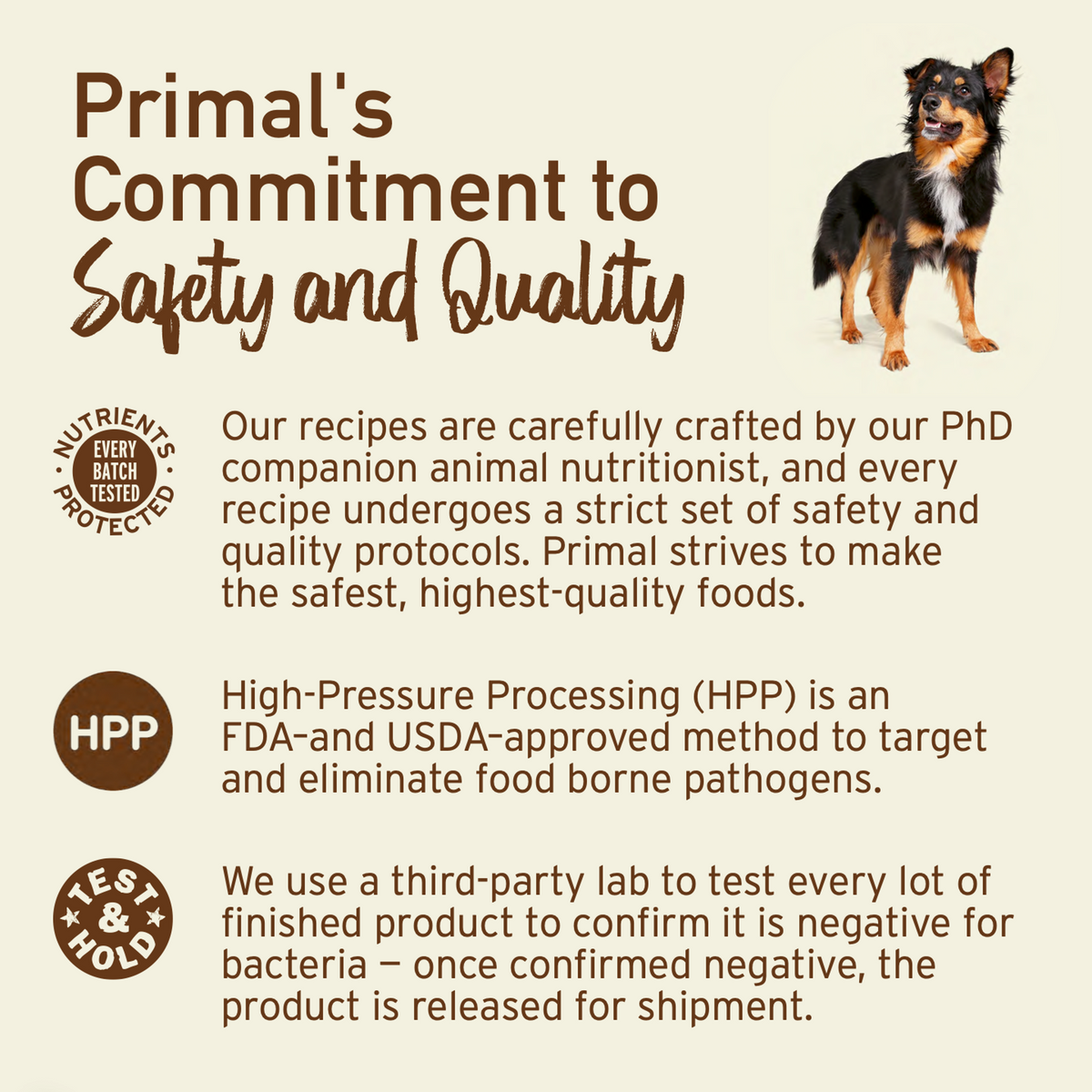 Primal Frozen Pronto Turkey &amp; Sardine Raw Dog Food