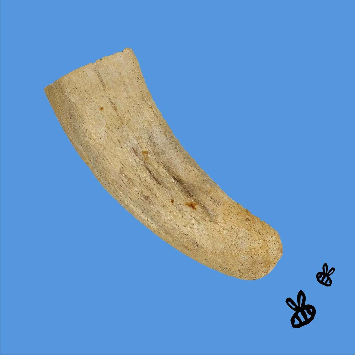 Honey I&#39;m Home! Water Buffalo Horn Core Dog Chews