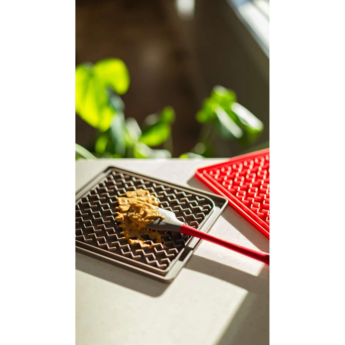 Messy Mutts Silicone Dog Licking Mat with Silicone Spatula