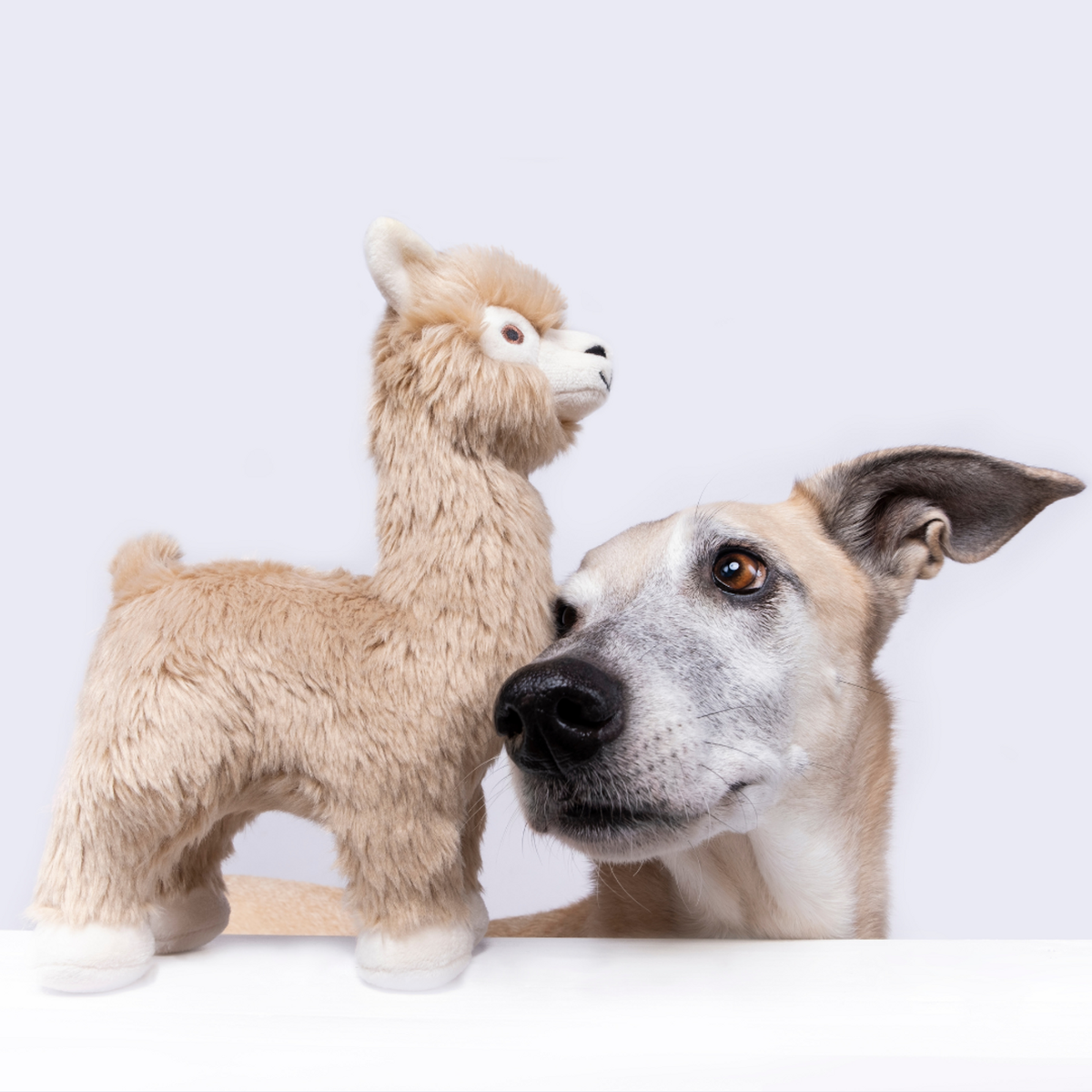 Fluff &amp; Tuff Inca Alpaca Dog Toy