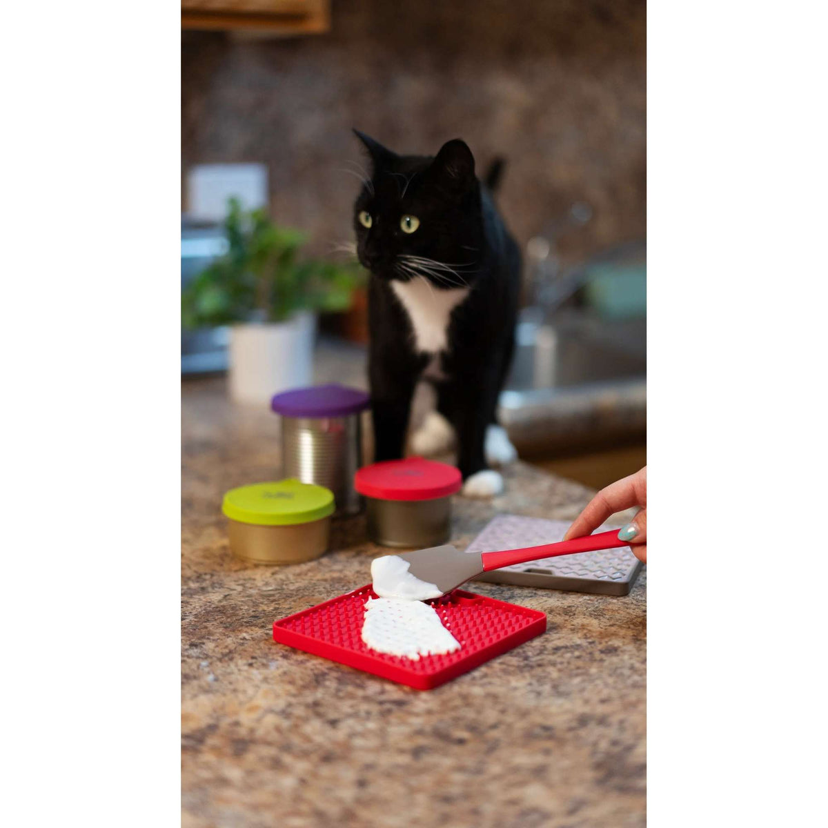 Messy Mutts Silicone Universal Can Cover for Dog and Cat Cans
