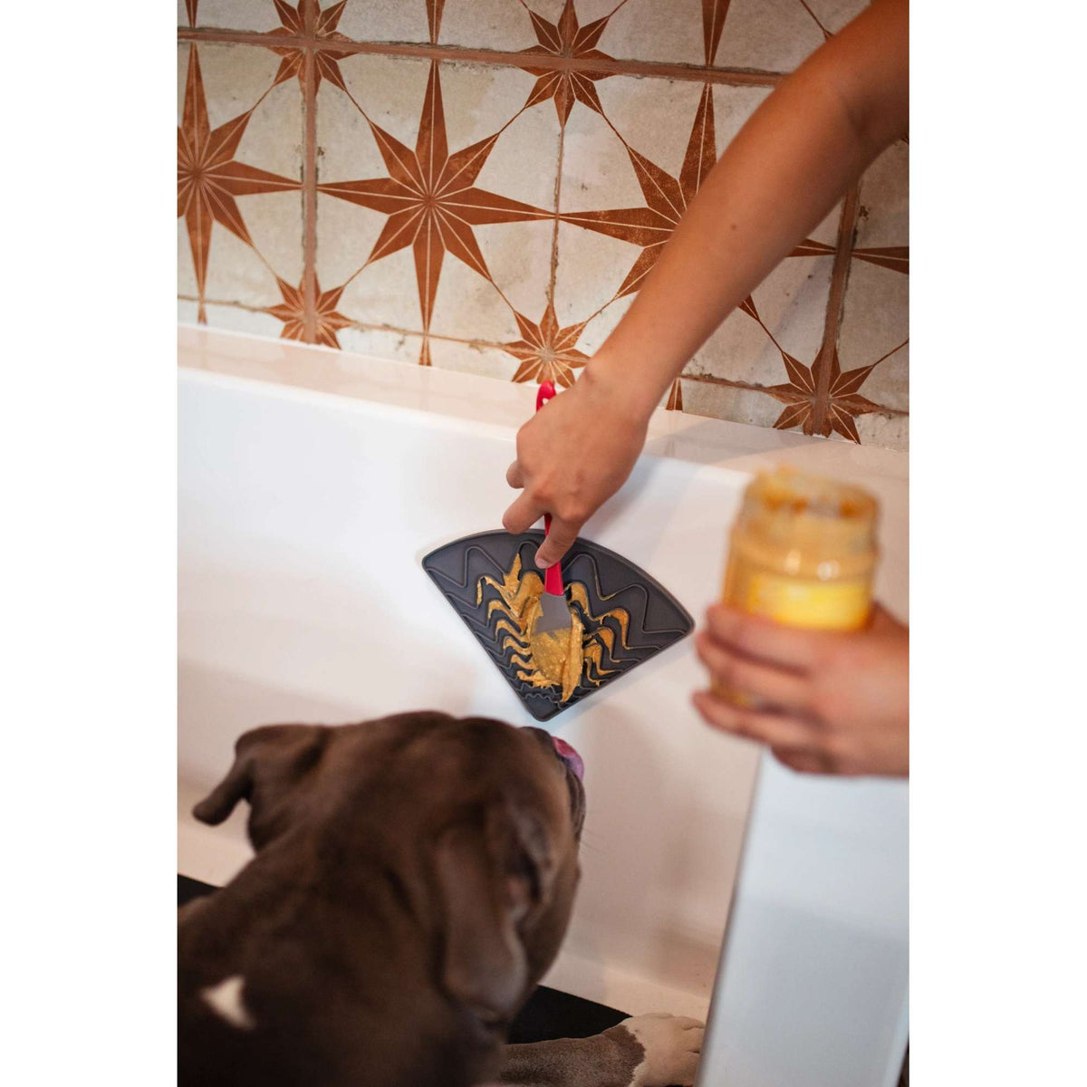 Messy Mutts Silicone Triangle Lick Mat with Suction Cups for Dogs