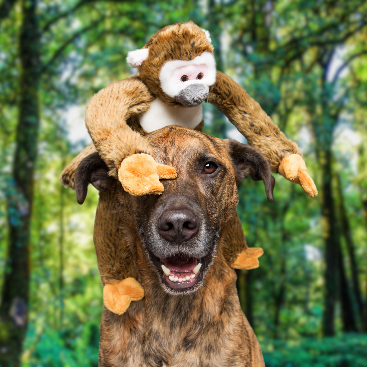 Fluff &amp; Tuff Albert Monkey Dog Toy