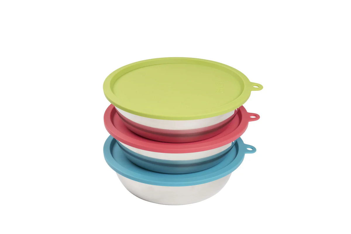 Messy Mutts 6 Pack Non-Toxic Stainless Steel Bowls With Airtight Silicone Lids for Dogs
