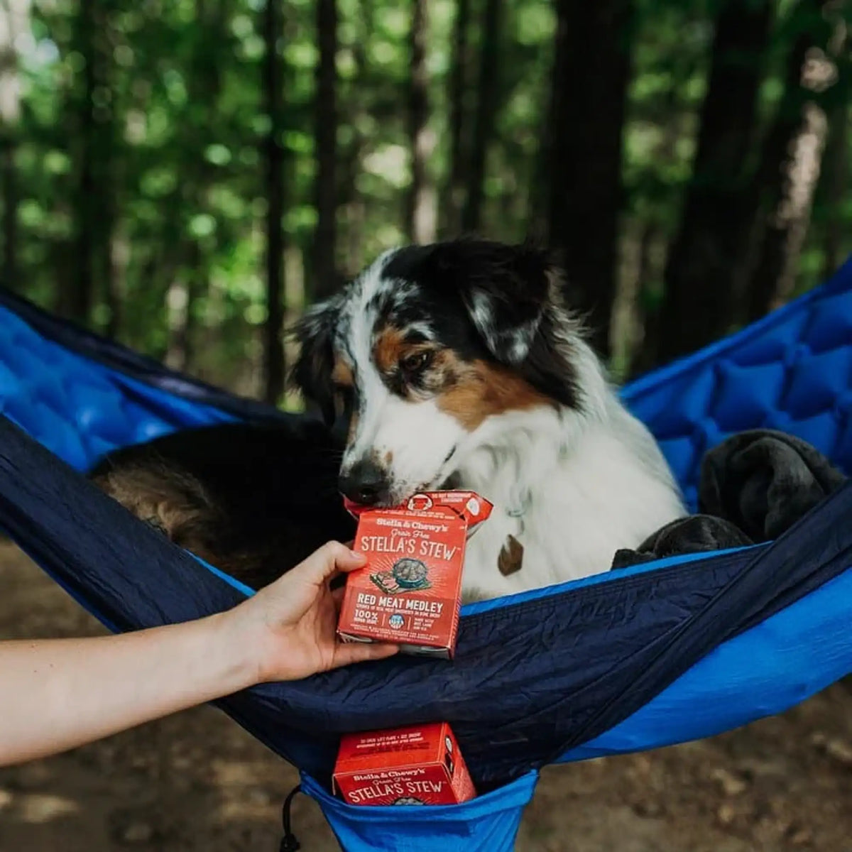 Stella &amp; Chewy&#39;s Stella&#39;s Stew Red Meat Medley Dog Food
