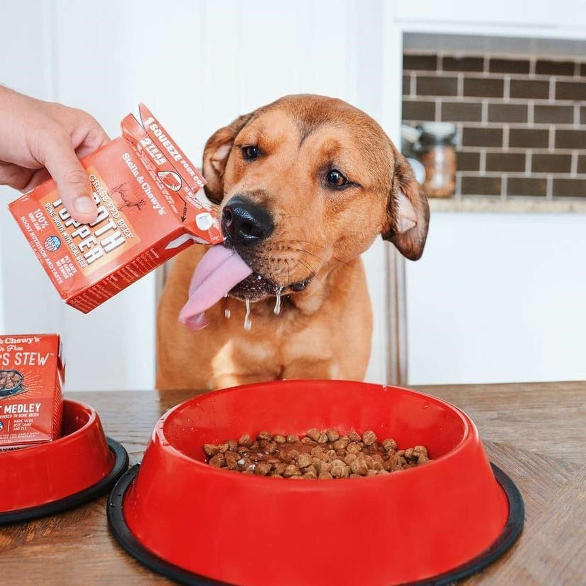 Stella &amp; Chewy&#39;s Broth Topper Beef for Dogs