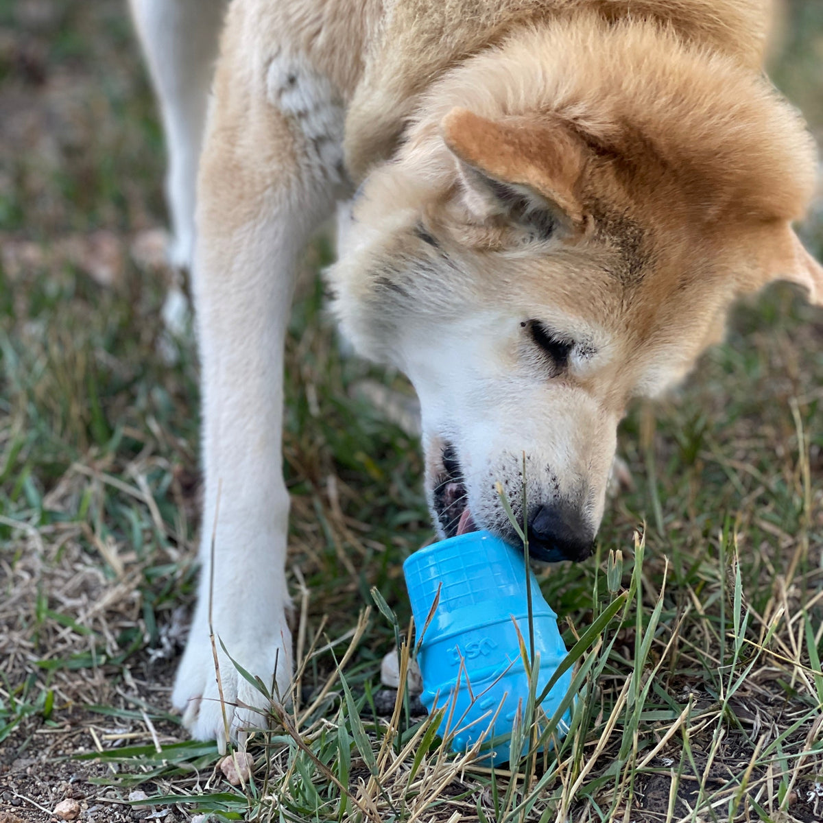 SodaPup Ice Cream Cone Durable PUP-X Rubber Chew Toy and Treat Dispenser