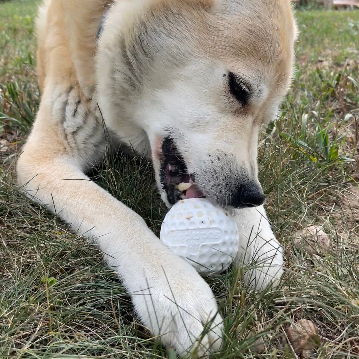 SodaPup Golf Ball Rubber Treat Dispenser & Enrichment Toy