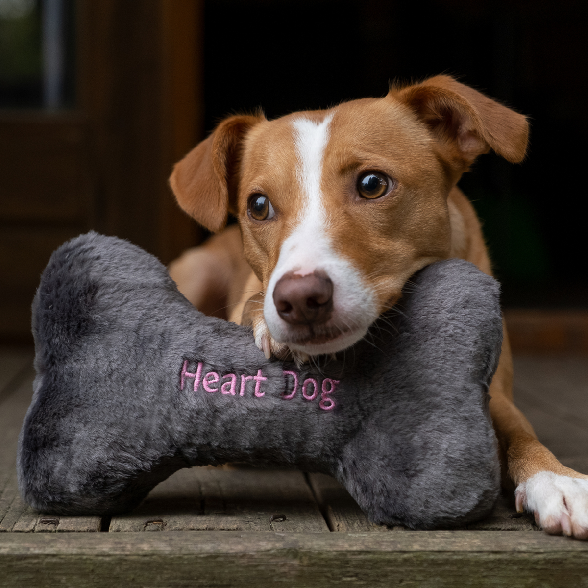 Fluff &amp; Tuff Heart Dog Bone Dog Toy