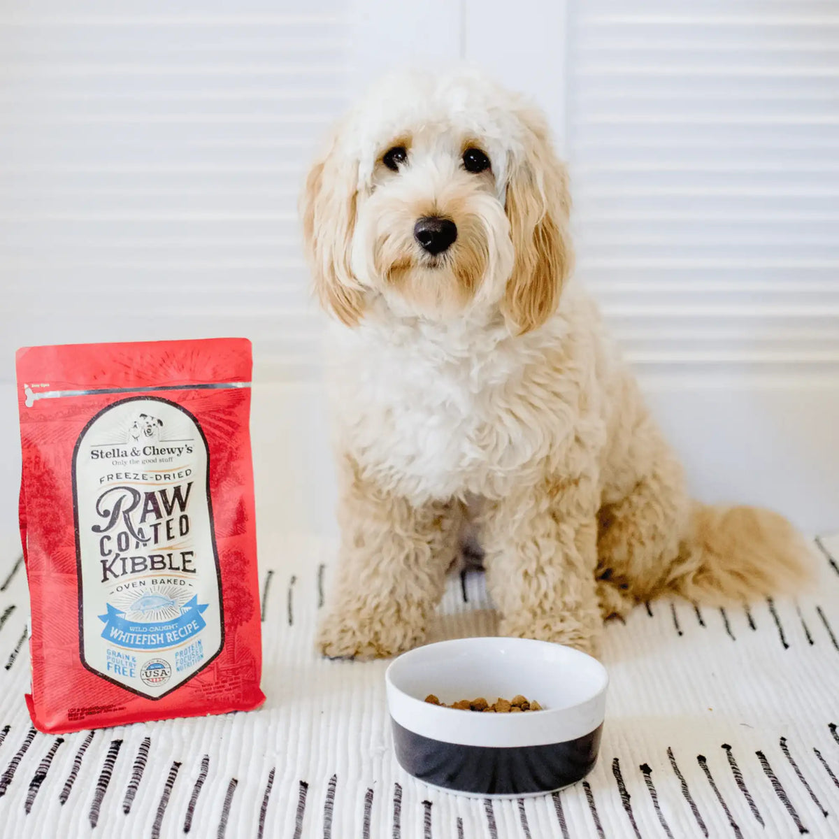 Stella &amp; Chewy&#39;s Kibble Raw Coated Whitefish Dog Food