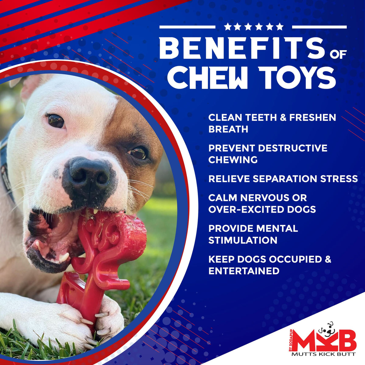 SodaPup Key to My Heart Ultra Durable Nylon Dog Chew Toy
