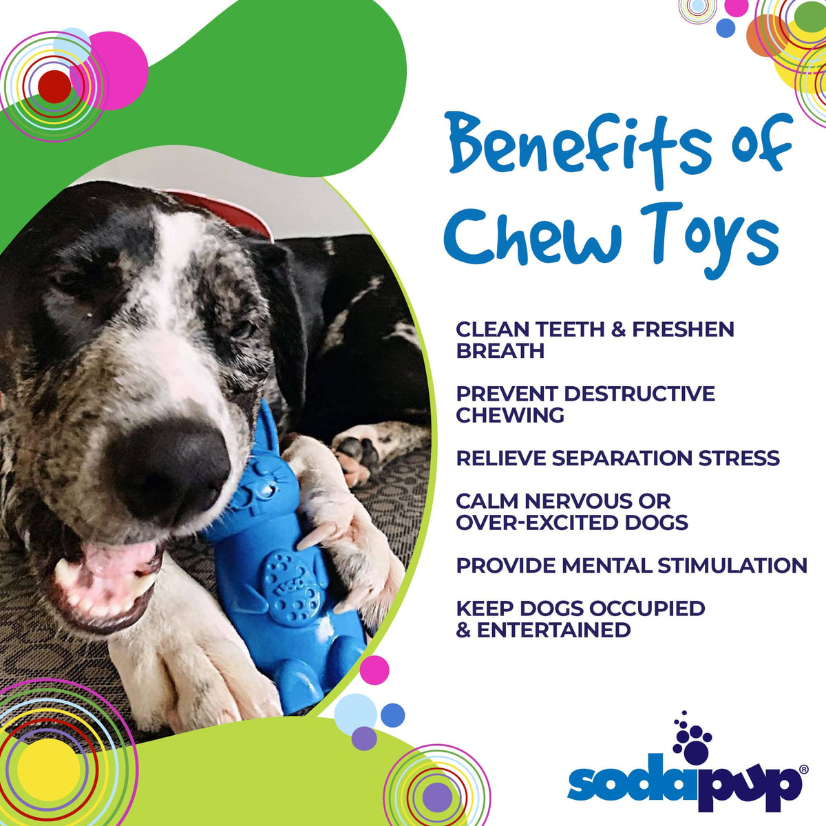 SodaPup Bunny Durable Nylon Chew and Enrichment Toy